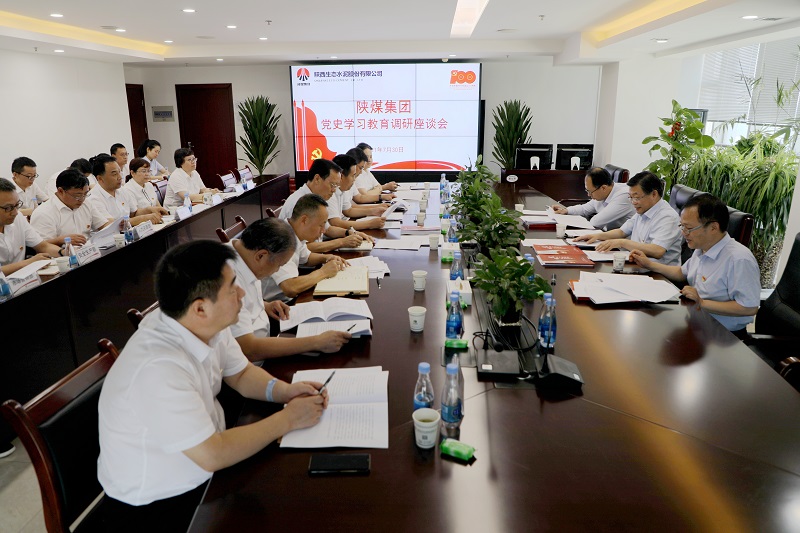 陜煤集團黨委副書(shū)記、董事尤西蒂調研生態(tài)水泥公司黨史學(xué)習教育
