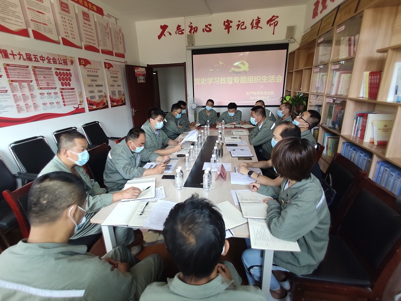 實(shí)、準、狠三字訣 助力黨史學(xué)習教育專(zhuān)題組織生活會(huì )走深走實(shí)