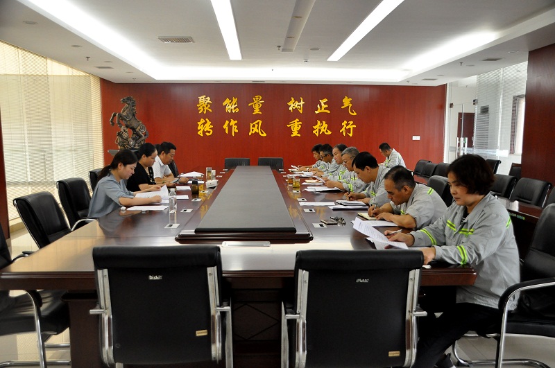 富平公司召開(kāi)“不忘初心、牢記使命” 專(zhuān)題民主生活會(huì )