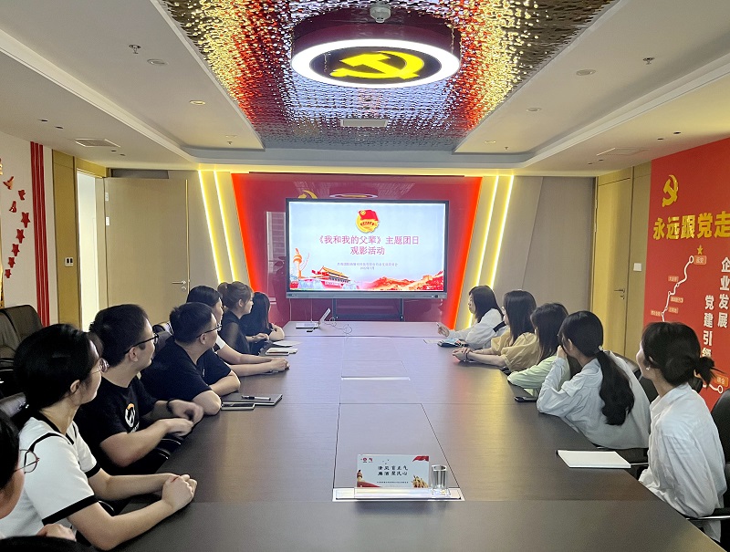 智引公司團總支組織開(kāi)展七月主題團日活動(dòng)