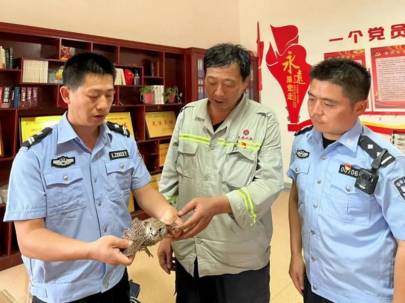 暖心！富平公司與薛鎮派出所攜手成功救助國家二級保護動(dòng)物