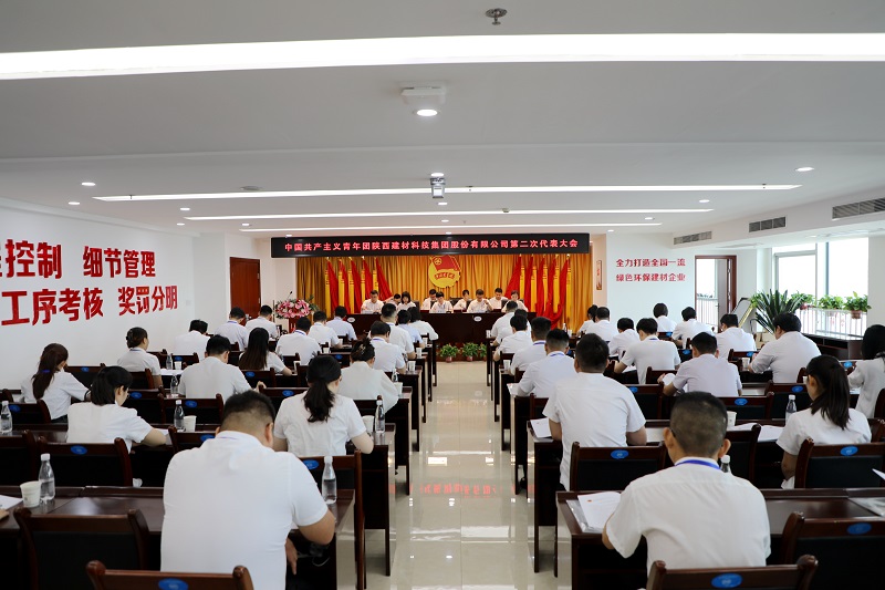 高舉團旗跟黨走 青春建功新征程——共青團陜西建材科技集團股份有限公司第二次代表大會(huì )勝利召開(kāi)