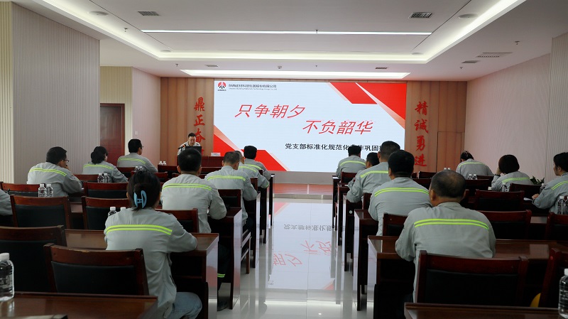 富平公司組織開(kāi)展黨務(wù)干部專(zhuān)題培訓