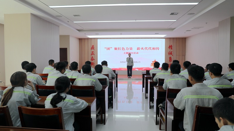 共話(huà)青春 寄語(yǔ)未來(lái)——富平公司開(kāi)展“‘團’聚紅色力量 薪火代代相傳”主題團日活動(dòng)