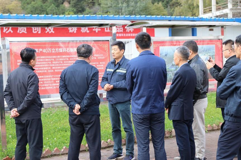 陜西省發(fā)改委環(huán)資處處長(cháng)馬宏生一行到黃陵新材公司調研指導工作