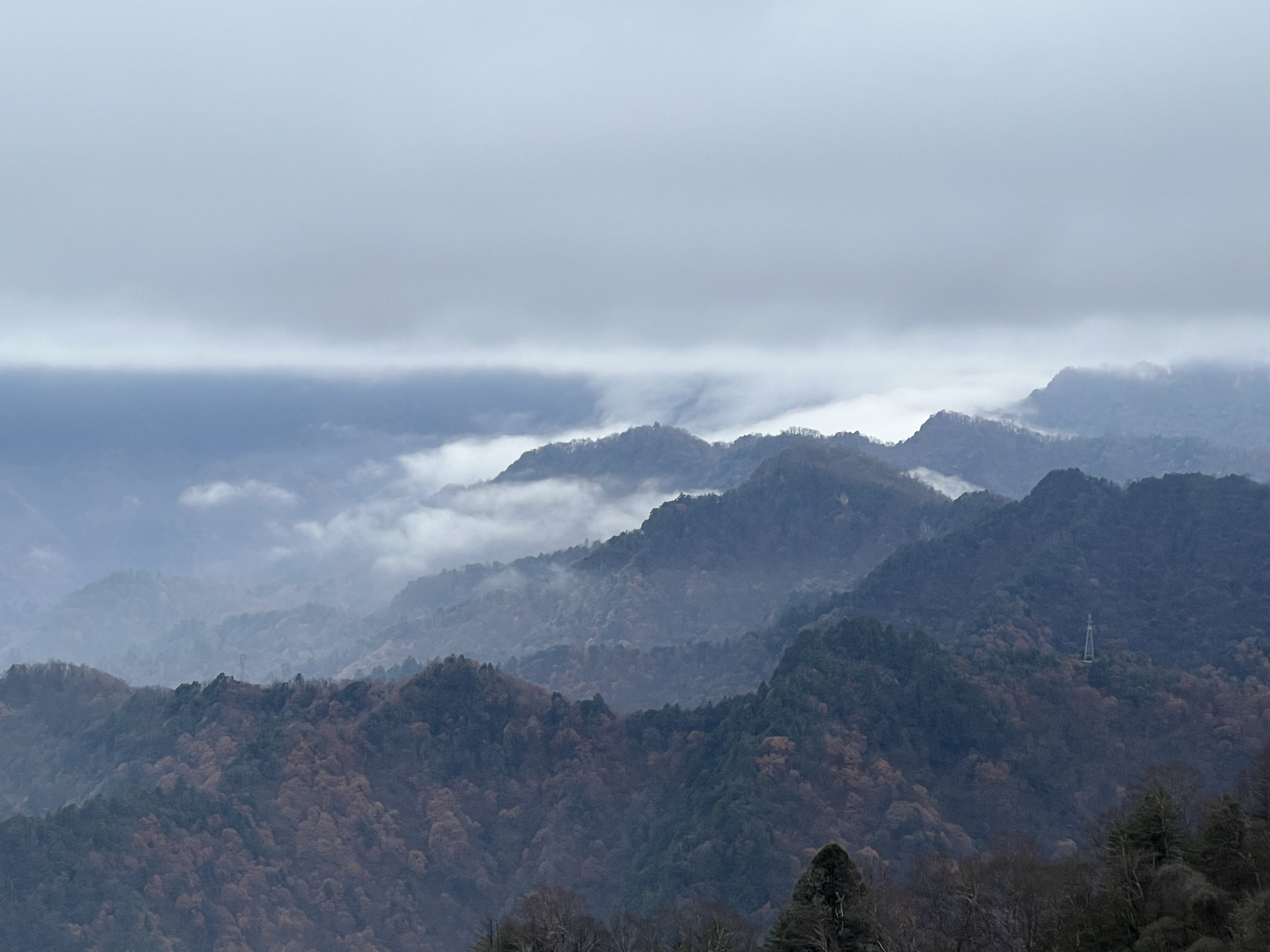 華山營(yíng)銷(xiāo)公司：冬已立，寒信至