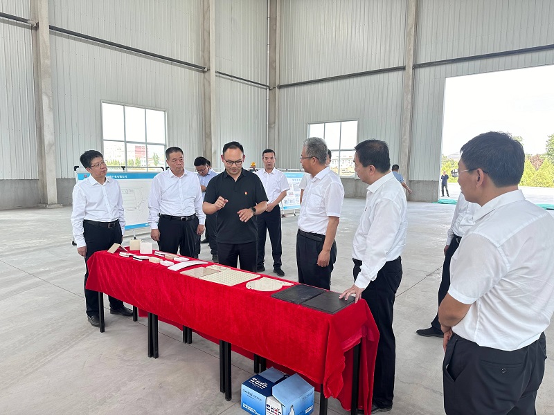 渭南市委副書(shū)記、市長(cháng)陳曉勇一行來(lái)龍門(mén)綠碳公司調研項目建設情況