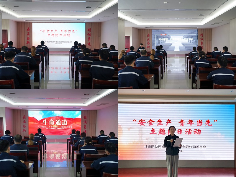 富平公司組織開(kāi)展“安全生產(chǎn) 青年當先”主題團日活動(dòng)