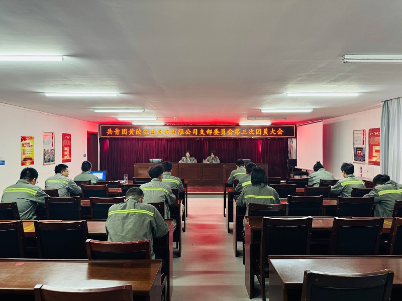 黃陵公司團支部換屆工作圓滿(mǎn)完成