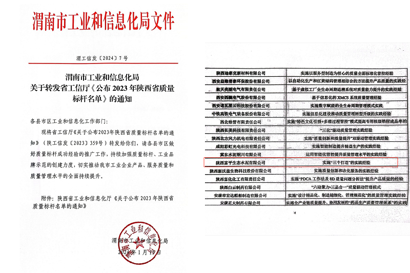 喜報！富平公司榮獲陜西省質(zhì)量標桿榮譽(yù)